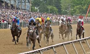 preakness stakes handle down 3 2 handle for card rises 2 0