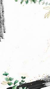 Spice Up Your Life With 5 Uses For Cassia Essential Oil White Background Wallpaper Flower Background Wallpaper Abstract Wallpaper Backgrounds