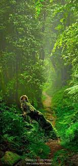 Pin By Sudha On Travel The Earth Nature Wallpaper Nature Natural Landmarks