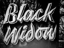 Less crusty dudes and more ginger and gene pls and thanks!! The Black Widow 1951 Film Wikipedia