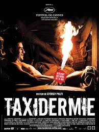 Pin On Le Cinema De Genre Europeen Contemporain