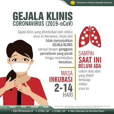 Apa saja gejala gejala orang yang terkena covid 19? Ditjen Pkh Kementerian Pertanian Gejala Klinis Dari Virus Corona