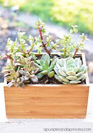 Succulent Planter Box Ikea Hack Diy Plants Decor Succulent Planters Box Plant Decor
