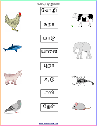 On 1st grade student learn a simple lesson, such as learning to count and read simple sentences. Pin By Baskar Ganapathy On Tamil Activity Kindergarten Worksheets Letter Worksheets For Preschool 1st Grade Worksheets