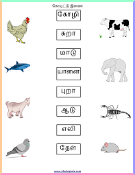1st grade math worksheets arranged according to grade 1 topics. 10 Tamil Work Sheet Ideas School Worksheets Kindergarten Worksheets 1st Grade Worksheets