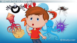 Check spelling or type a new query. Invertebrates Vs Vertebrates Lesson For Kids Video Lesson Transcript Study Com