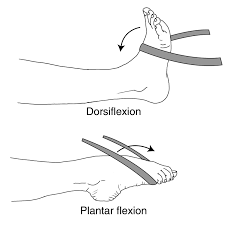 • sit on the floor or on a chair. Foot And Ankle Conditioning Program Orthoinfo Aaos