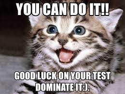 We did not find results for: Wwu Campus Rec On Twitter Good Luck On Finals Everyone Here Are Some Cute Animal Memes To Give You Some Extra Motivation
