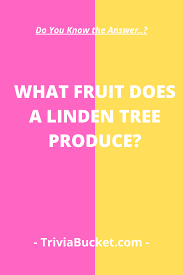 This post was created by a member of the buzzfeed commun. What Fruit Does A Linden Tree Produce Fun Trivia Questions Trivia Questions Family Game Night