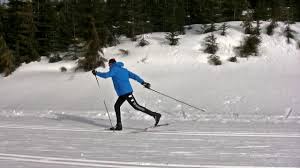 What's the difference between skate skiing and speed skating? Shuffling Vs Striding In Classic Cross Country Skiing Why The Difference Youtube