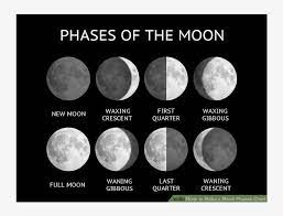 In what year will the next full moon occur during halloween? Phases 2048 2048 3rd Grade Moon Phases Quiz Transparent Png 728x728 Free Download On Nicepng