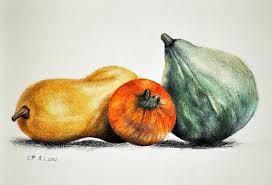 The halloween still life prints are 9″ x 12″ giclees for $18 each (or $40 for all three). Pumpkins Original Colored Pencil Drawing 5 5 X 8 Inch Still Life Halloween Art Via Etsy Color Pencil Drawing Drawings Still Life Drawing