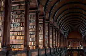 Dark Academia Aesthetics Wiki Fandom (y/n) has a life anyone would be envious of.