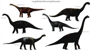 Http Ayay Co Uk Background Dinosaurs Herbivore Long Necked Browsing Dinosaurs Dinosaur Images Animals Dinosaur Wallpaper