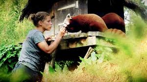 3 km da zoo de la fleche. Une Saison Au Zoo C Est Reparti Pour La 8eme Saison Retour Au Zoo De La Fleche
