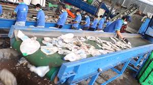 Extremely high tech and high quality eyewear for men and women. Dragon Alliance Sdn Bhd Dragon Alliance Sdn Bhd