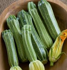 Can you grow zucchini in lahaina. How To Grow Zucchini From Seed To Harvest Homestead Acres