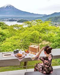 Vivian Luxury Travel Food Lavivienyc Instagram Photos And Videos Luxury Travel Mount Fuji Travel