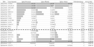 Prefix Cum Suffix Graph.Ppt