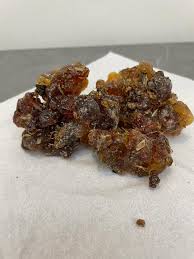 Image result for Commiphora kua