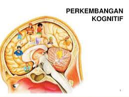 Dalam konteks ini, seluruh kode telah dikembangkan tidak hanya normatif, tetapi juga moral sesuai dengan keyakinan bersama tentang apa yang dapat atau tidak dapat. Teori Perkembangan Kognitif Hobiheboh