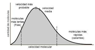 Por Que El Agua Se Evapora Aunque No Hierva Ciencia De Sofa