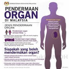 Dan saya percaya bahawa yayasan teach for malaysia boleh melakukan perubahan. Derma Organ Di Malaysia Pendermaan Organ Telah Bermula Facebook