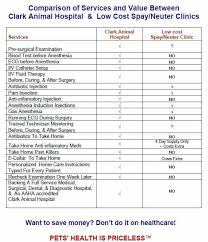 It is important to neuter a female cat before she can have kittens herself. Pet Surgury Hospital Rahway Nj Clark Animal Hospital