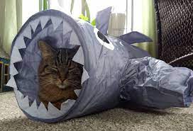 Heart To Tail Shark Cat Tunnel Aldi Reviewer Cat Tunnel Cardboard Cat House Pet Beds