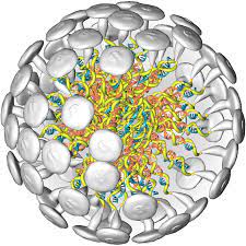 »der biologe und gründer des biopharmazeutischen unternehmen curevac, dr. Technology Curevac