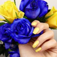 A date known in swedish as sveriges nationaldag, june 6 was also the day when the nation adopted a new constitution in 1809. Firar Sveriges Nationaldag Med En Weekend Makeup By Lina