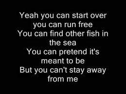 Animals Maroon 5 Lyrics Youtube