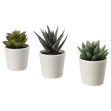 Maybe you would like to learn more about one of these? Fejka Artificial Potted Plant With Pot In Outdoor Succulent Buy Online Or In Store Ikea
