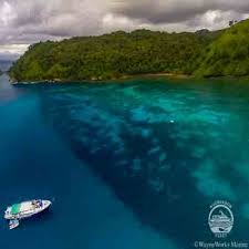 It is the tip of an ancient volcanic mountain isolated by the surrounding pacific. Cocos Island Tauchen Treffen Sie Die Giganten Der Meere