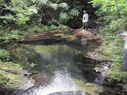 Yanbaru kokuritsu kōen) ist ein japanischer nationalpark im norden der hauptinsel okinawas. Hesitant Heritage U S Bases On Okinawa And Japan S Flawed Bid For Yambaru Forest World Heritage Status The Asia Pacific Journal Japan Focus