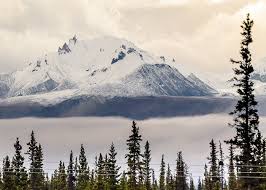 We never mark up our packages, so you know you are getting the best possible price. Alaska Tourism And Holidays Best Of Alaska Tripadvisor