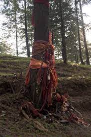 Energy Is Vital Nature Goddess Sacred Art Forest Spirit