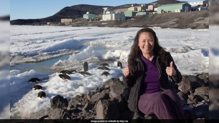 Laid Off From HP After 30 Years, 59-Year-Old Woman Moves To Antarctica For Job. Here's How It Went
