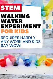 Easy Rainbow Walking Water Experiment For Kids Made In A Pinch In 2020 Walking Water Experiment Water Experiments Water Experiments For Kids