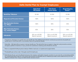 10 Dental Chart Form Resume Samples