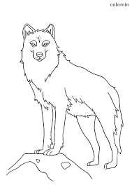 We did not find results for: Wolves Coloring Pages Free Printable Wolf Coloring Sheets