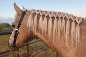 I work part time as a hair stylist, and even though i'm 38, i'm still trying to decide what i want to be when i grow up. A Gorgeous Summer Horse Hairstyle To Try This Weekend Cowgirl Magazine
