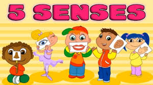 Five Senses Taste Smell Sight Hearing Touch Quiz For Kids My Five Senses Senses Senses Preschool