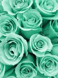 pin by meena din on wallpaper mint green aesthetic mint green flowers mint green wallpaper