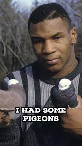 Mike Tyson Pigeons