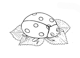 Nach dem ihr die herz vorlage pdf ausgedruckt habt, könnt ihr die herz schablone ausmalen, ausschneiden, bekleben oder zu einem anhänger machen. Clipartmalvorlagen Com Die Malvorlagen Fur Kinder Zum Ausdrucken Malvorlagen Fur Kinder Kostenlos Ausmalbilder Herunterladen Ausdrucken Und Ausmalen Lustige Vorlage Bilder Grosse Sammlung Zum Anfarben