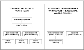 Figure 1 The Organizational Structure Of The Ward Teams