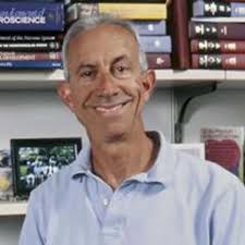 Richard Levine, Ph.D.