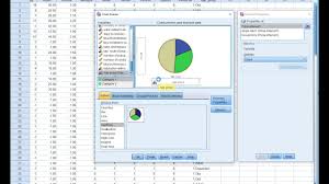 Pie Chart In Spss Youtube
