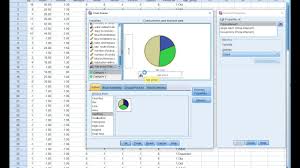 Pie Chart In Spss Youtube